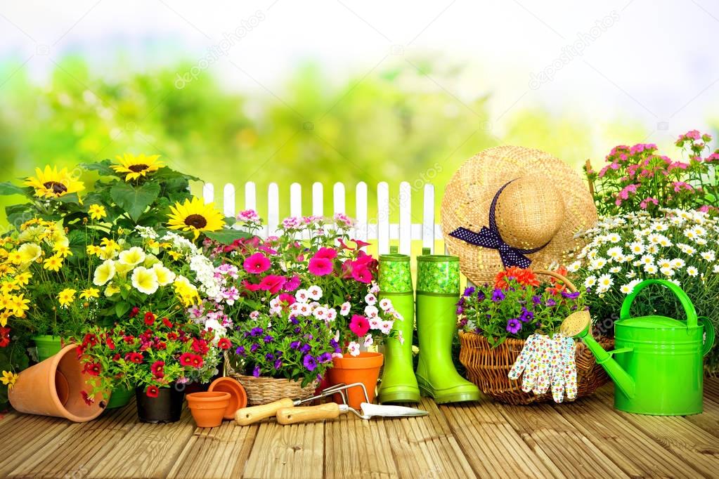 Gardening tools and flowers on the terrace i