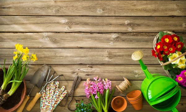 Gardening tools and flowers — Stock Photo, Image