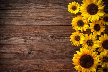 Sunflowers on wooden background clipart