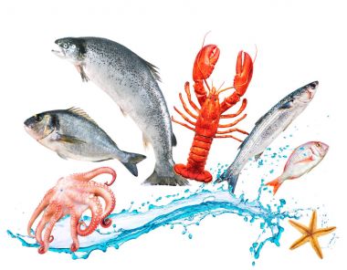 Watersplash ile balık atlama