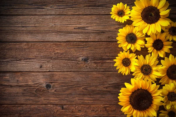 Sunflowers on wooden background — Stock Photo, Image