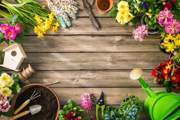 Trädgårdsredskap och vårblommor — Stockfoto