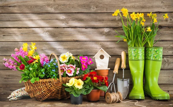 Herramientas de jardinería y flores de primavera — Foto de Stock