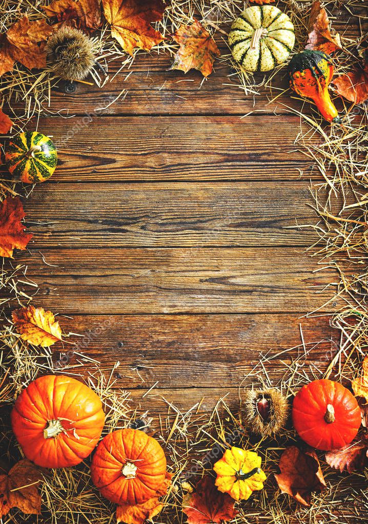 Harvest or Thanksgiving background with gourds and straw — Stock Photo