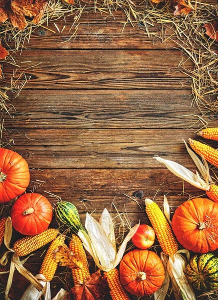 収穫または感謝祭の背景 — ストック写真