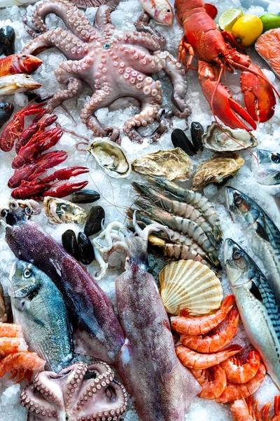 Frutti di mare su ghiaccio — Foto Stock