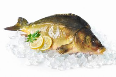 buz üstünde limonlu taze sazan