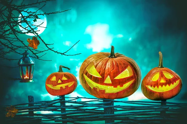 Halloween pumpkins gece korkunç orman önünde — Stok fotoğraf