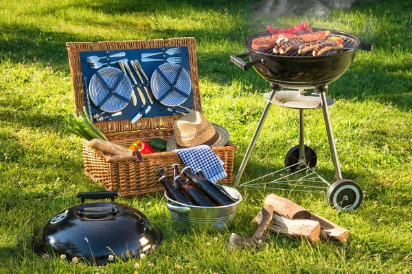 Piquenique de churrasco em um prado — Fotografia de Stock