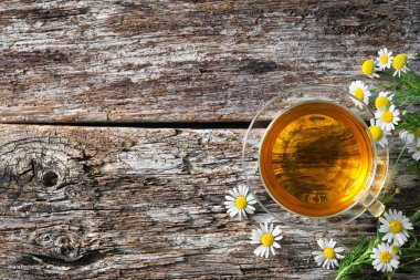 Tıbbi papatya fincan