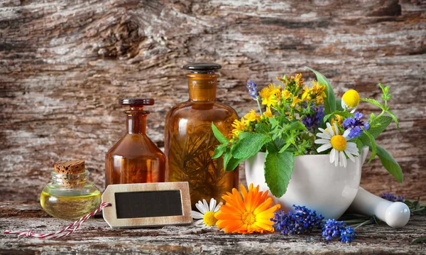 Medicina herbal. Plantas medicinales —  Fotos de Stock