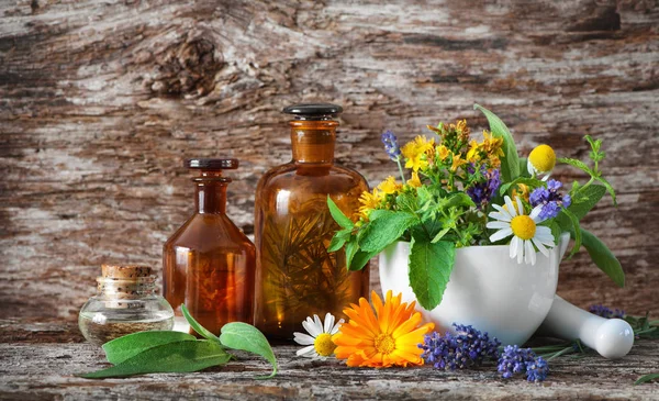 Medicina herbal. Plantas medicinales — Foto de Stock