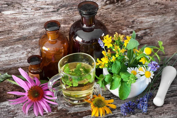 Cup of herbal tea with medicinal bottles and healing herbs in mo — Stock Photo, Image