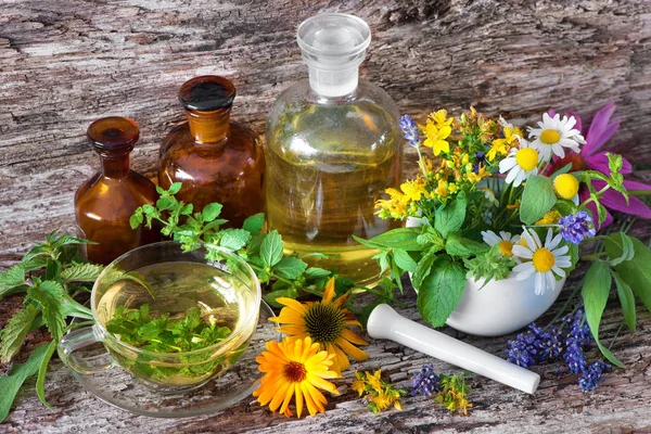 Tıbbi şişe ve şifalı otlar mo ile bitkisel çay — Stok fotoğraf
