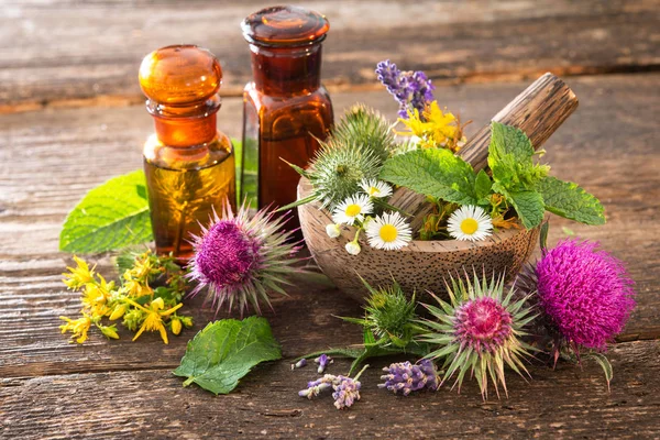 Tincture bottles and healing herbs — Stock Photo, Image