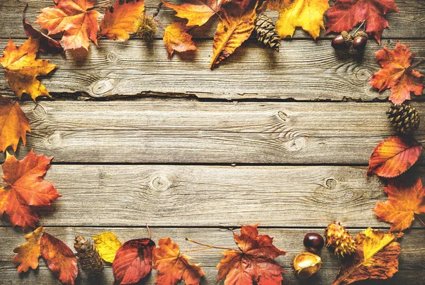 Thanksgiving autumnal background — Stock Photo, Image