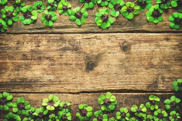 Štěstí, shamrock. St.Patrick den pozadí — Stock fotografie