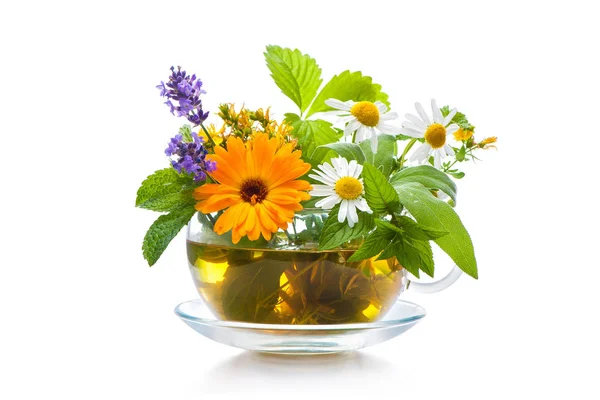 Cup of herbal tea — Stock Photo, Image