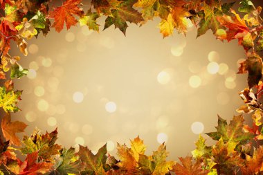 Düşen yapraklarla sonbahar arkaplanı