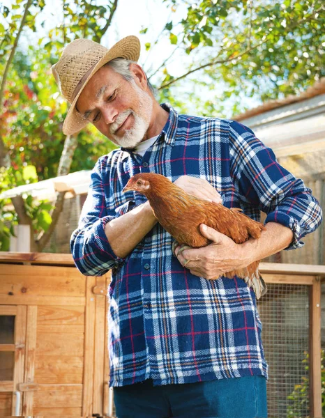 Fermier tient du poulet dans ses bras devant le poulailler — Photo