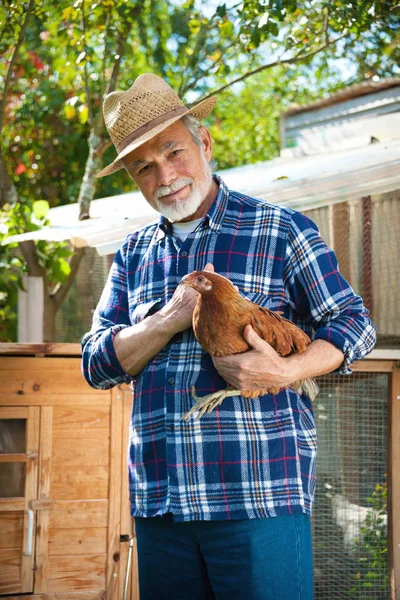 Fermier tient du poulet dans ses bras devant le poulailler — Photo