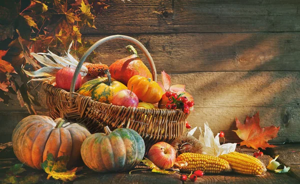 Thanksgiving background with pumpkins — Stock Photo, Image