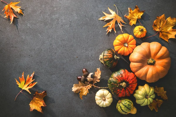День благодарения или сезонный осенний фон с тыквами и опавшими листьями — стоковое фото