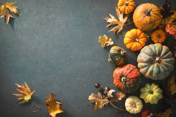 Thanksgiving day or seasonal autumnal background with pumpkins and fallen leaves — Stock Photo, Image