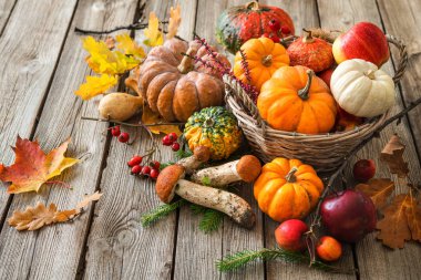 Autumn still life with pumpkins, corncobs, fruits and leaves clipart