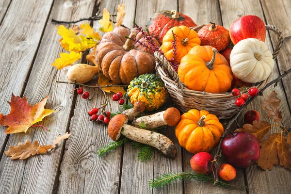 Herbststilleben mit Kürbissen, Maiskolben, Früchten und Blättern — Stockfoto