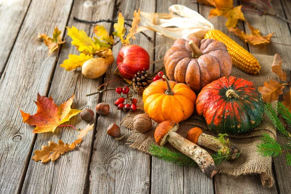 Bodegón de otoño con calabazas, mazorcas de maíz, frutas y hojas — Foto de Stock