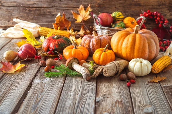 Őszi csendélet, sütőtök, corncobs, a gyümölcsök és levelek — Stock Fotó