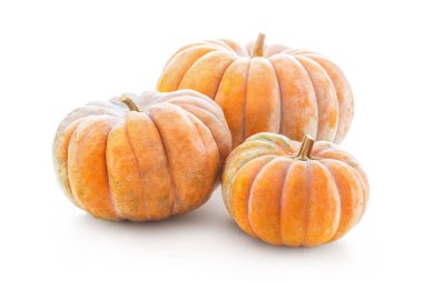 Küçük Hindistan cevizi kabak üzerine beyaz izole