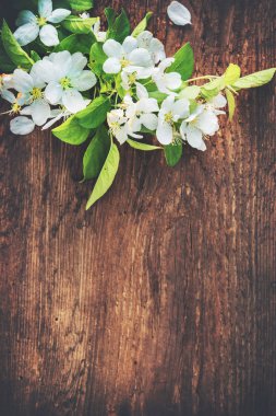 Ahşap arka plan bahar çiçek dallarda