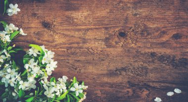 Ahşap arka plan bahar çiçek dallarda