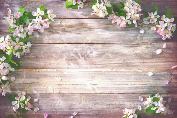 Lente bloeiende takken op houten achtergrond — Stockfoto