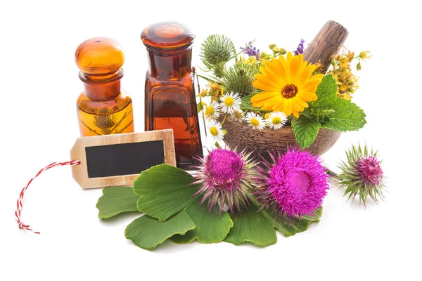 Tincture bottles and healing herbs — Stock Photo, Image