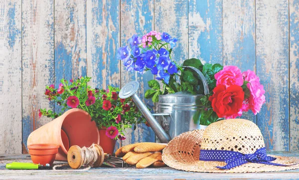 Gardening tools and flowers on the terrace — Stock Photo, Image