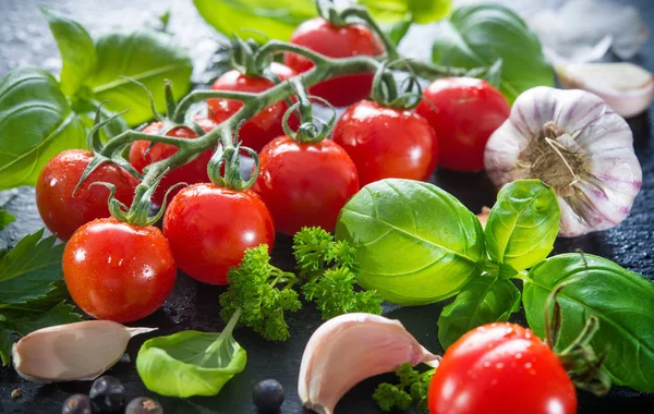 Ripe tomatoes with fresh basil, garlic and other herbs with wate — Stock Photo, Image