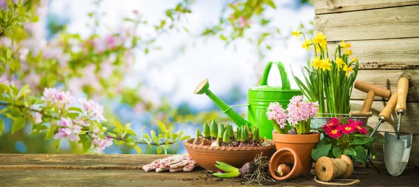 Ferramentas de jardinagem e flores de primavera no terraço — Fotografia de Stock