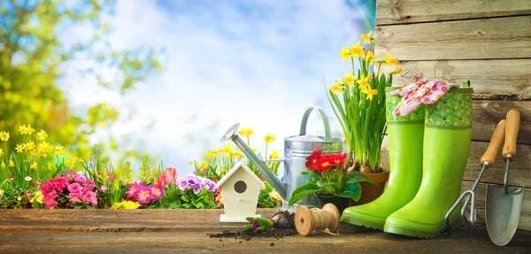 Gartengeräte und Frühlingsblumen auf der Terrasse — Stockfoto