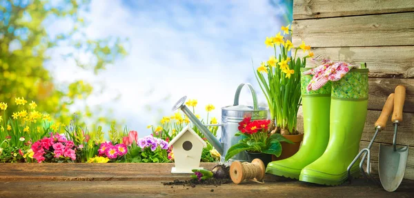 Herramientas de jardinería y flores de primavera en la terraza —  Fotos de Stock