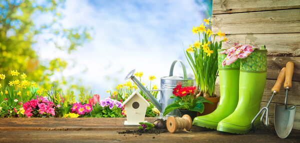 Gardening tools and spring flowers on the terrace