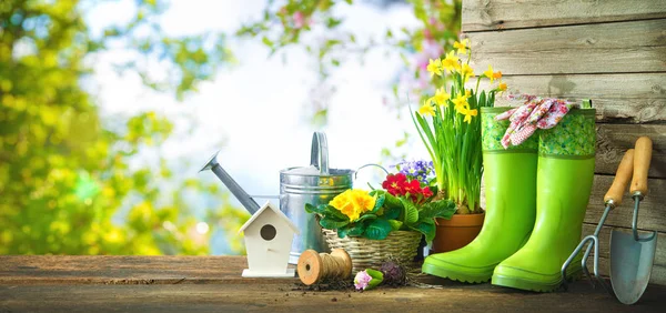 Gardening tools and spring flowers on the terrace — Stock Photo, Image