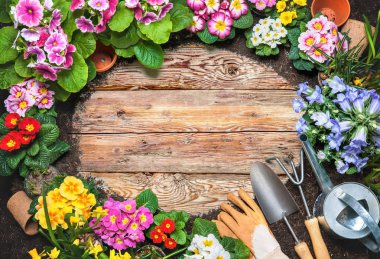 Çerçeve bahar çiçek ve Bahçe araçları