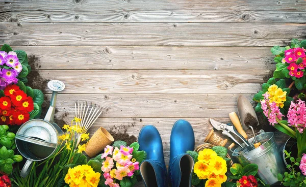 Gartengeräte und Frühlingsblumen auf der Terrasse — Stockfoto