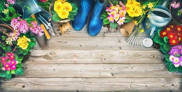Gardening tools and spring flowers on the terrace — Stock Image Gardening tools and spring flowers on the terrace Stock Picture