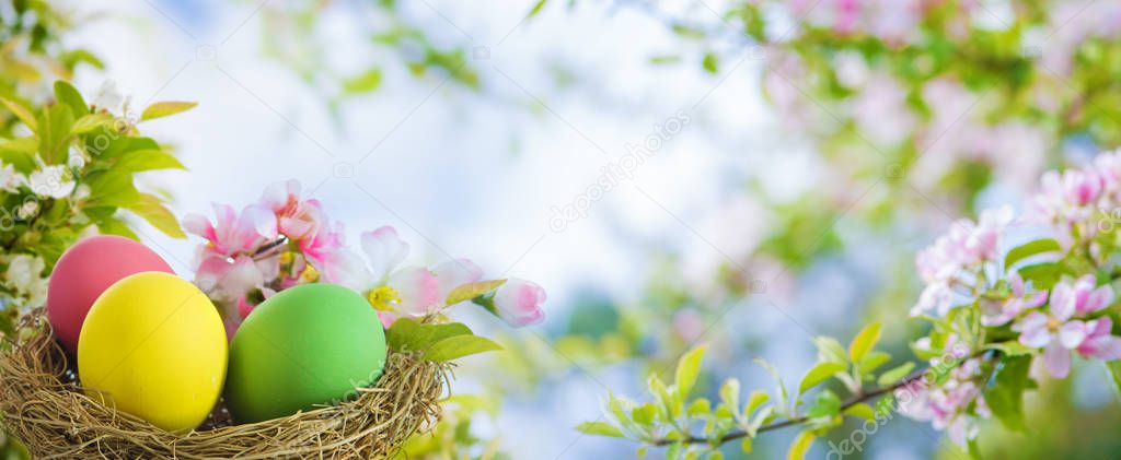 Colorful easter eggs in spring