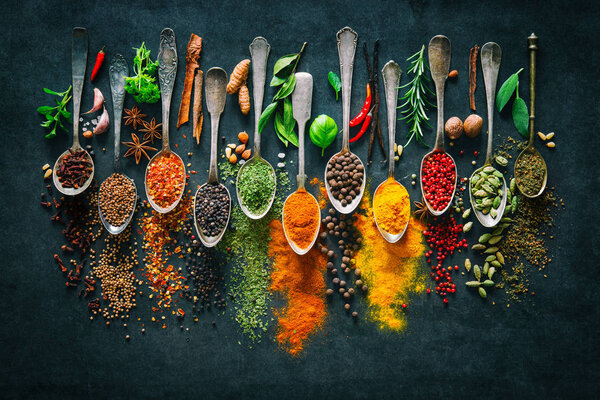 Herbs and spices for cooking on dark background 
