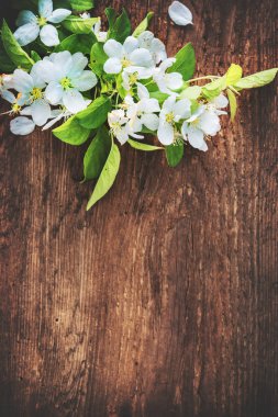 Ahşap arka plan bahar çiçek dallarda